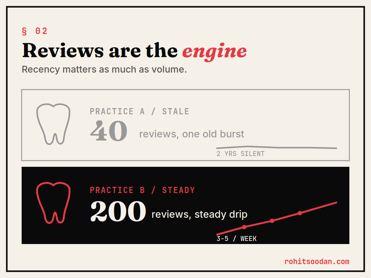 reviews for dental seo